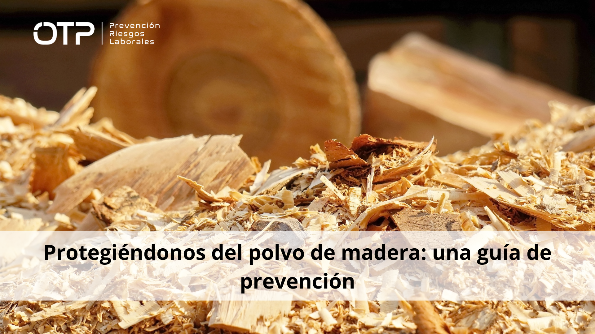 Protegiéndonos del polvo de madera: Una guía de prevención 